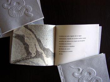 Camaieux - page-ouverte Camaieux-page-ouverte