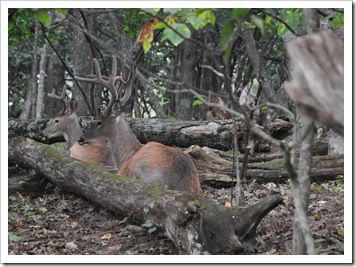 DSC_0366zoom DSC_0366zoom