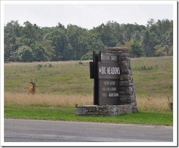 DSC_0437zoom DSC_0437zoom