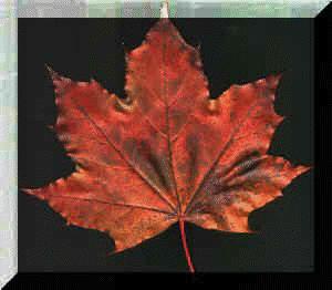 Les écrits #3 Les écrits #3