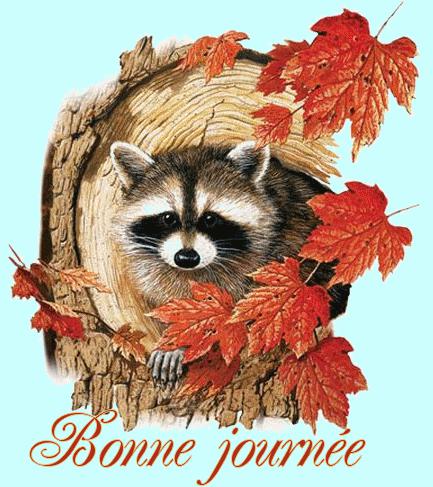 PENSEE DU JOUR qv7pw95j.gif