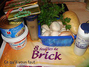 On mange quoi demain? Les bricks au thon et aux champignons Les-bricks-au-thon.jpg