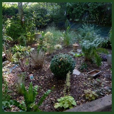 Les travaux ont avancé...Après l'arrachage des Pétasites,... Les travaux ont avancé...Après l'arrachage des Pétasites,...