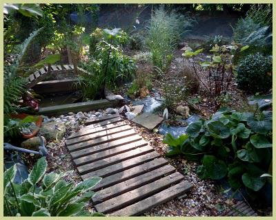 Les travaux ont avancé...Après l'arrachage des Pétasites,... Les travaux ont avancé...Après l'arrachage des Pétasites,...