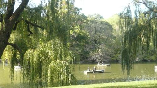 NYC 177 NEW YORK EN VRAC