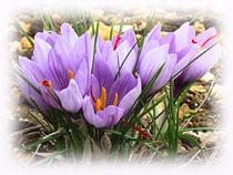 Une petite absence culture_1