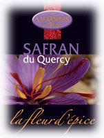 Une petite absence organisation2