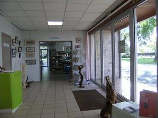 La vue ou le regard tout un art La vue ou le regard tout un art