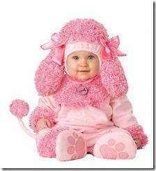 caniche rose caniche rose