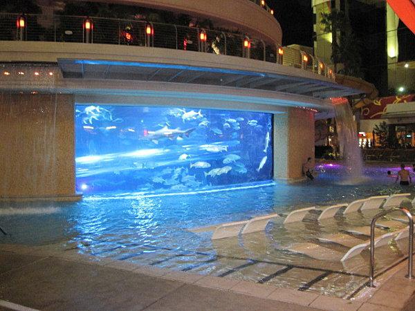 BM - I wanna go crazy - One love - I Gotta Feeling sexy bitch images-3-1854.JPG