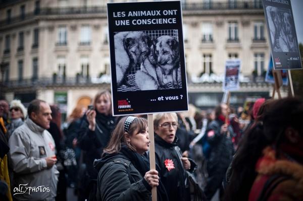 manifestation-anti-fourrure-2010-11