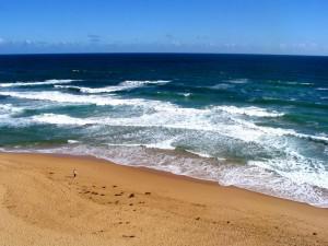 ocean_bleu