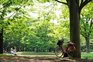 menji-jigu_ajari City break à Tokyo : un séjour à la découverte de la culture japonaise