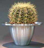 Les plantes anti-pollution : à cultiver chez soi et au travail ! Les plantes anti-pollution : à cultiver chez soi et au travail !