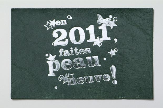 2011 PEAU NEUVE 2011 PEAU NEUVE