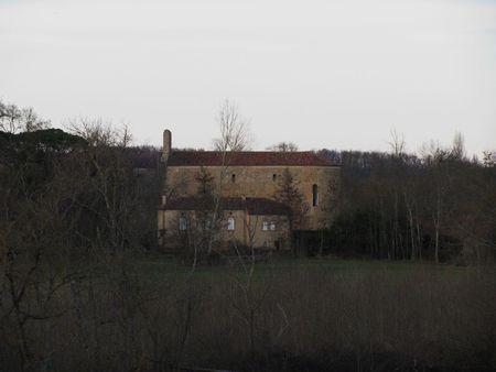 L'Eglise Saint-Michel de Lamaguère IMG_1122
