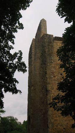L'Eglise Saint-Michel de Lamaguère IMG_1081