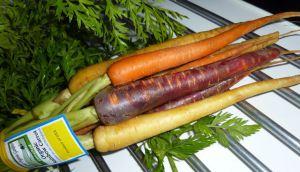 Crumble de carottes, panaïs et compotée de tomates