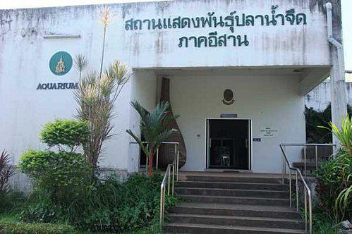 20 au 23 octobre : Province de Sakon-Nakhon: 1e partie. DSCF6176