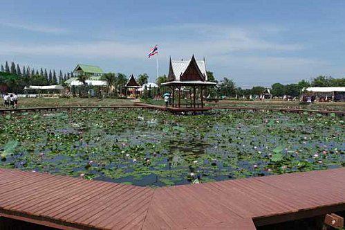 20 au 23 octobre : Province de Sakon-Nakhon: 1e partie. DSCF6067