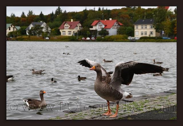 Islande, jour 1!