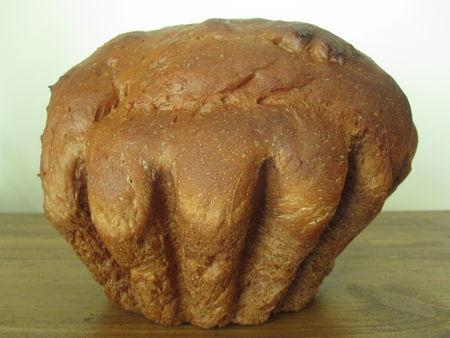 Brioche à la danette au chocolat contrat_062