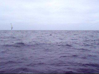 first-airborn1web CINDY AND JASON GOES FOR JAWS – REQUIN À LA MOUCHE !