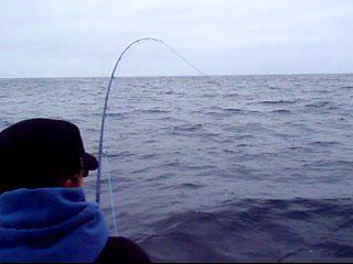 Cindy's-rod2web CINDY AND JASON GOES FOR JAWS – REQUIN À LA MOUCHE !