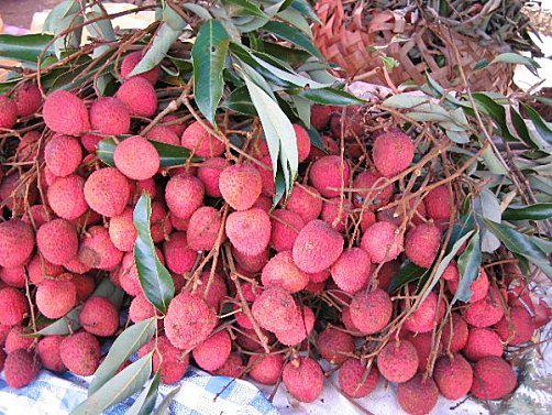 Bell'attitude s'envolle pour l'île de la Réunion. letchis.jpg