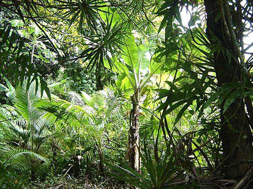Bell'attitude s'envolle pour l'île de la Réunion. 1.JPG