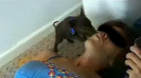 Comment faire fuir les musulmans cochonnet.jpg