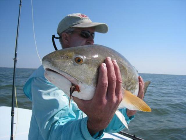 STAN LOUISIANA REDFISH ON A FLY.