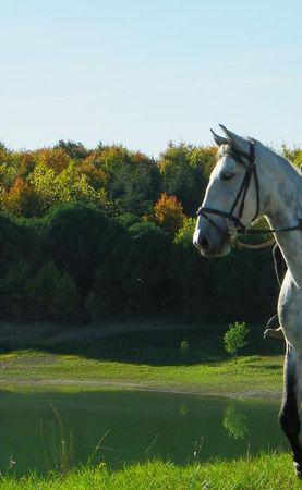 Le Lac de L'Astarac, un écosystème extraordinaire 10