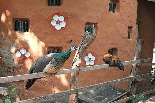 20 au 23 octobre : Province de Sakon Nakhon: 2eme partie. DSCF6324