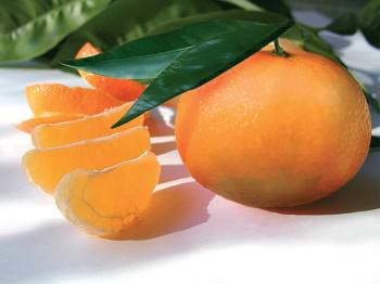 -DaWeeD- : poème Réciprocité -DaWeeD- : poème Réciprocité