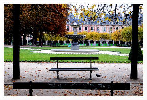 Photos d'Octobre Philippe Ibars Dans les Jardins de la Fontaine IBA_6214.jpg