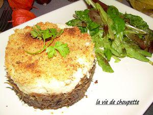 EFFILOCHEE DE CANARD ET PUREE DE CELERI repas_22_oct_10_claudine_et_guy_004