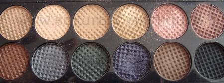 storm Storm, idéale pour les charbonneux