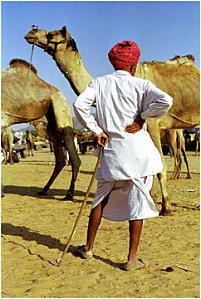 pushkar_camel_festival.jpg