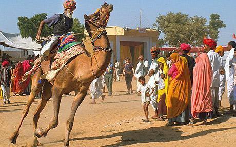 india-camel-fair_1014207c.jpg