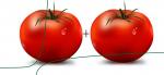 Tomate.jpg