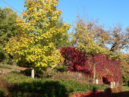 Canardages en série.... Calfour_2_010