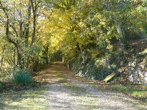 Canardages en série.... Calfour_2_011