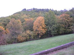 Canardages en série.... calfour_Toussaint_2010_002