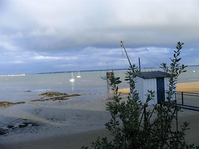 pêche en novembre et sagitaire avant de s'en servir pêche en novembre et sagitaire avant de s'en servir
