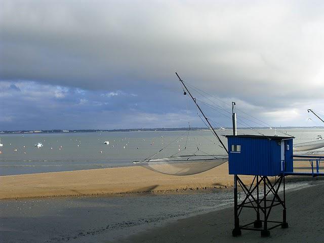 pêche en novembre et sagitaire avant de s'en servir pêche en novembre et sagitaire avant de s'en servir