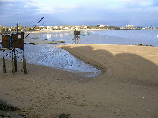 pêche en novembre et sagitaire avant de s'en servir pêche en novembre et sagitaire avant de s'en servir
