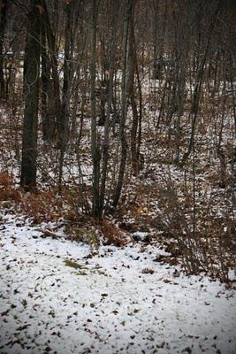 Awesome things.. notre compilation / .1. Awesome things.. notre compilation / .1.