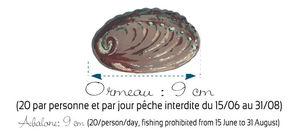 un écrin pour l'ormeau ormeau