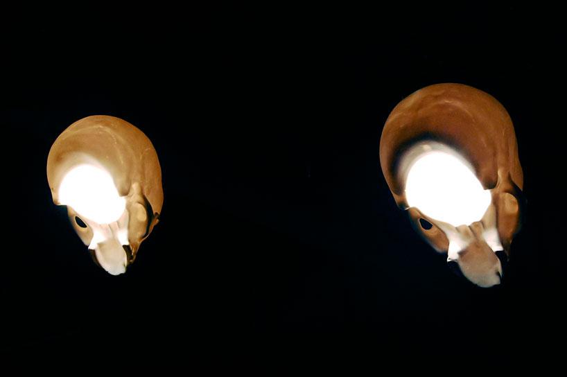 skull03 Après la Toussaint